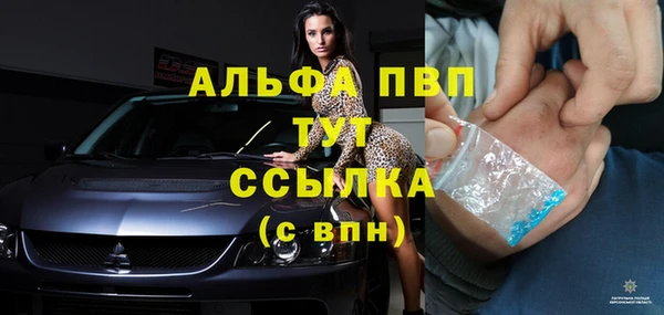 эйфоретик Инсар