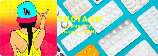 дживик Инта