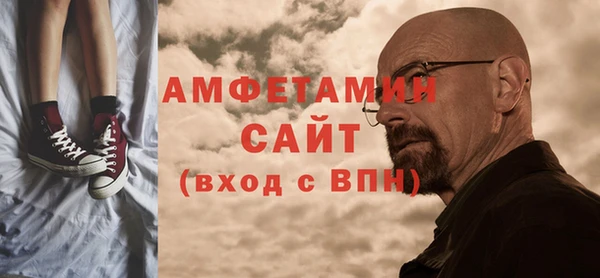 дживик Инта