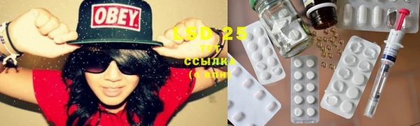 дживик Инта
