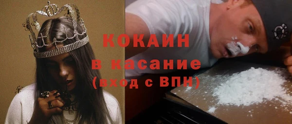 дживик Инта