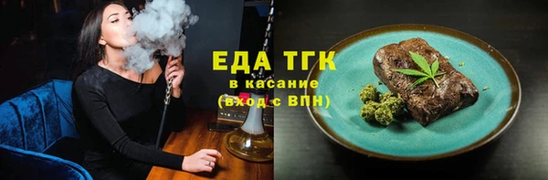 дживик Инта