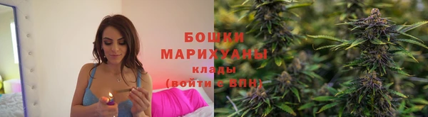 дживик Инта