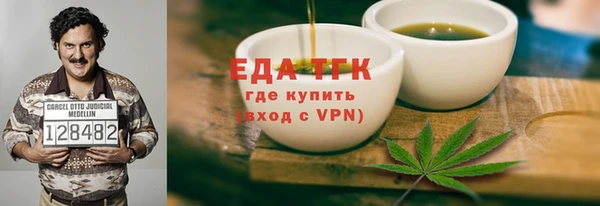 дживик Инта