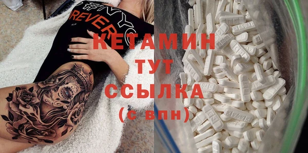дживик Инта