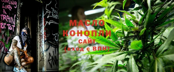 дживик Инта