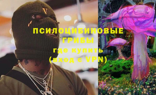 дживик Инта