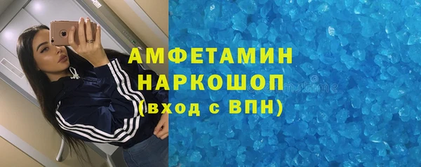 дживик Инта