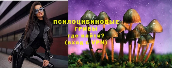 эйфоретик Инсар