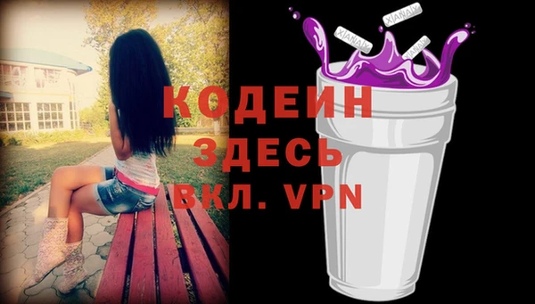 дживик Инта