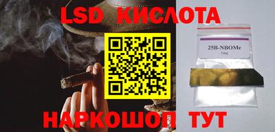 шишки Гай