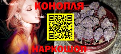 шишки Гай