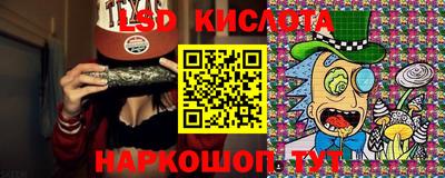 шишки Гай