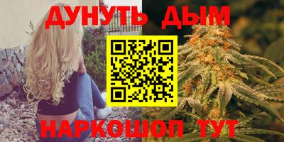 шишки Гай