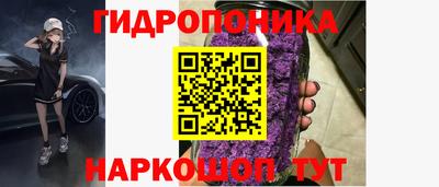 шишки Волжск