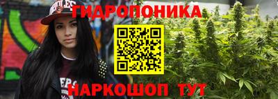 стафф Гагарин