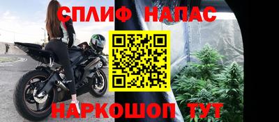 шишки Гай