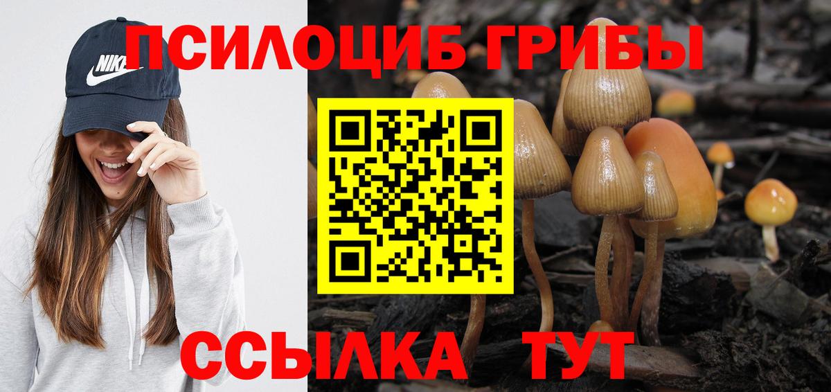 Псилоцибиновые грибы Cubensis  Галлюциногенные грибы MAGIC MUSHROOMS  Нефтеюганск  Вход с VPN 